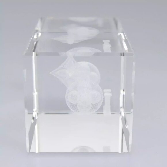 LOUIS VUITTON Paper weight Clear LV Auth 114607S - Picture 15 of 16
